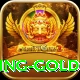 1XWin Gaming Gold